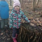phoca_thumb_m_zajci a krmtko 55 Fotogalerie